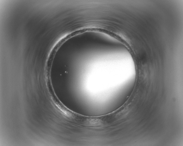 X0000066081119200603101133