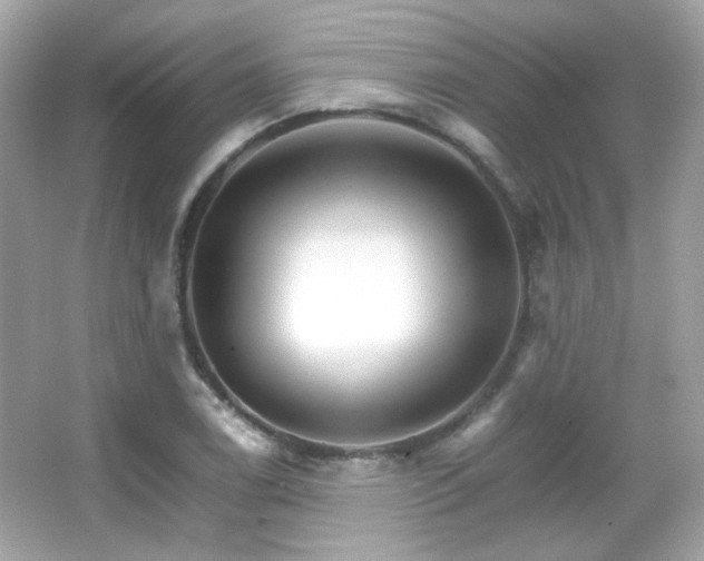 X0000066081122200603101133