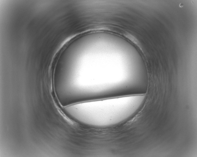 X0000066081127200603101133