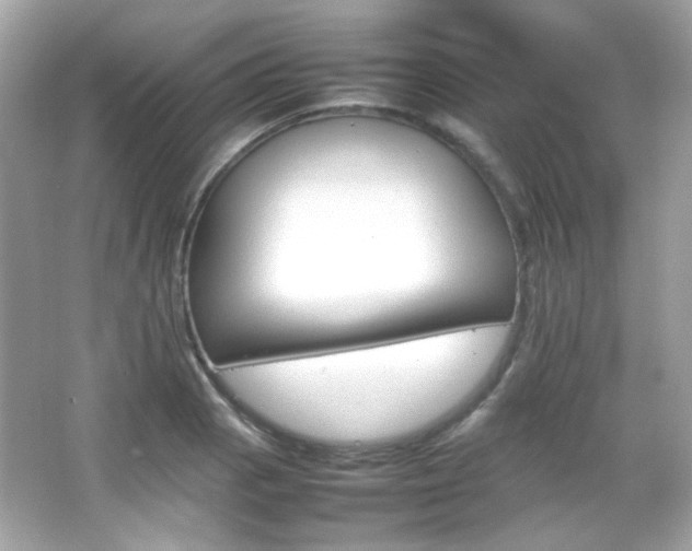 X0000066081129200603101133