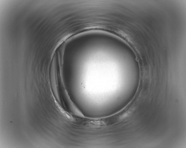 X0000066081137200603101133