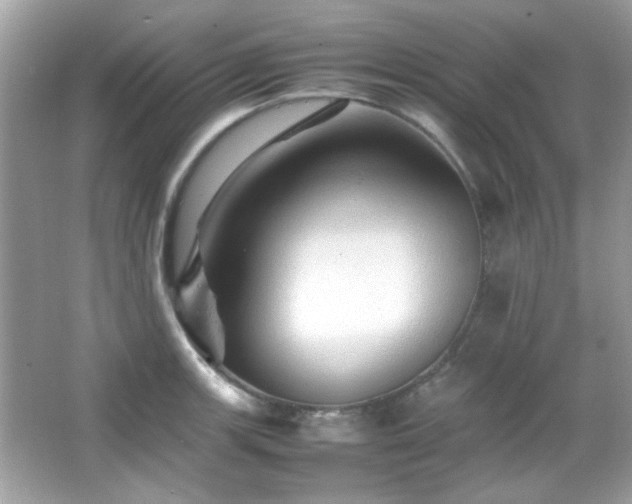X0000066081139200603101133
