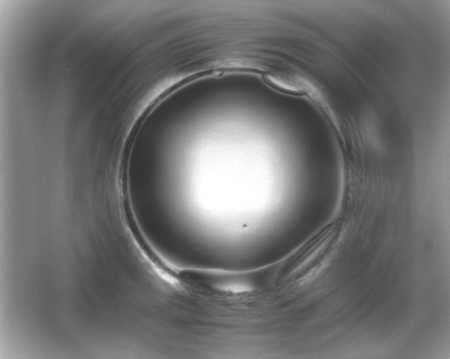 X0000066081141200603101133