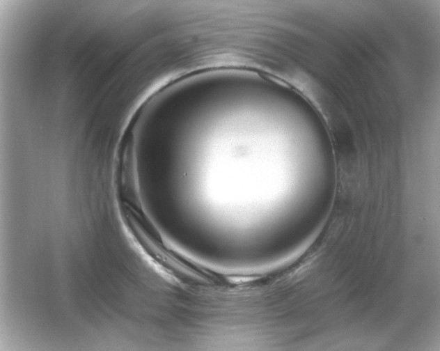 X0000066081142200603101133