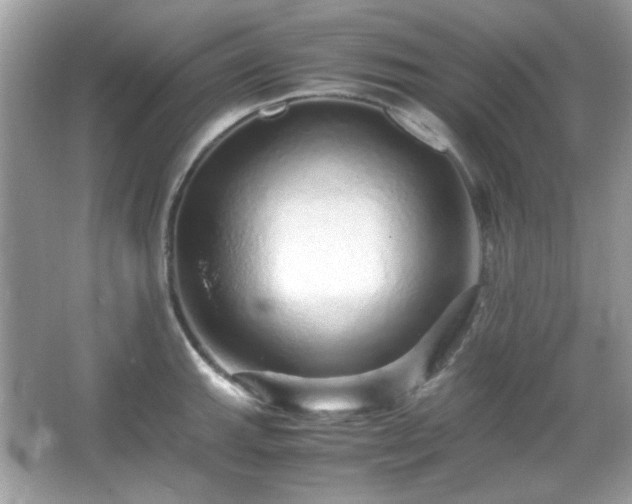 X0000066081143200603101133