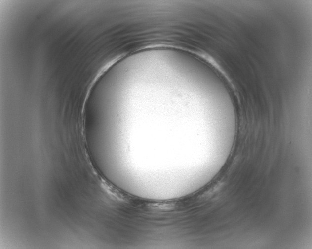 X0000066081145200603101133