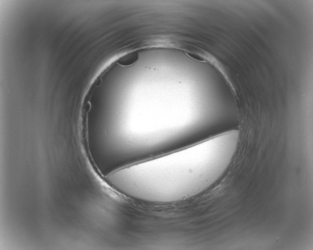 X0000066081147200603101133