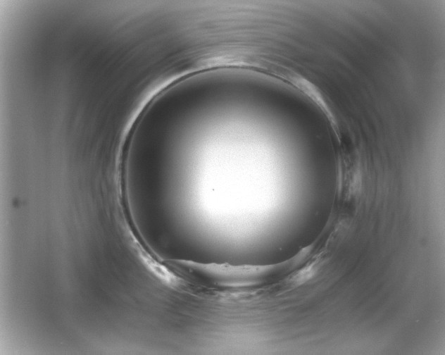 X0000066081148200603101133