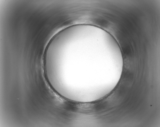X0000066081150200603101133