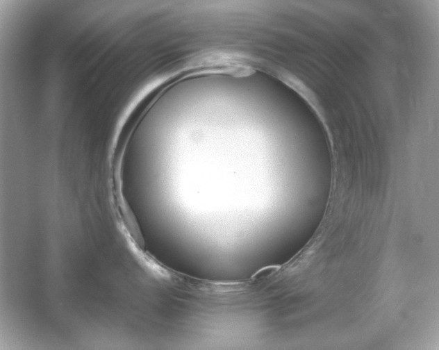 X0000066081152200603101133