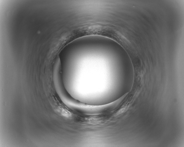 X0000066081153200603101133