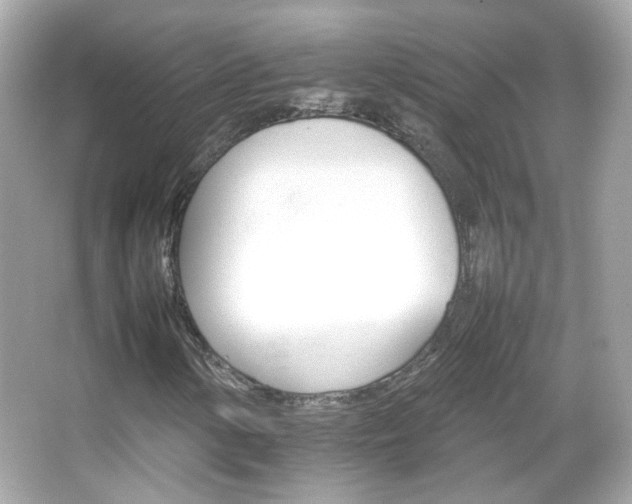 X0000066081154200603101133