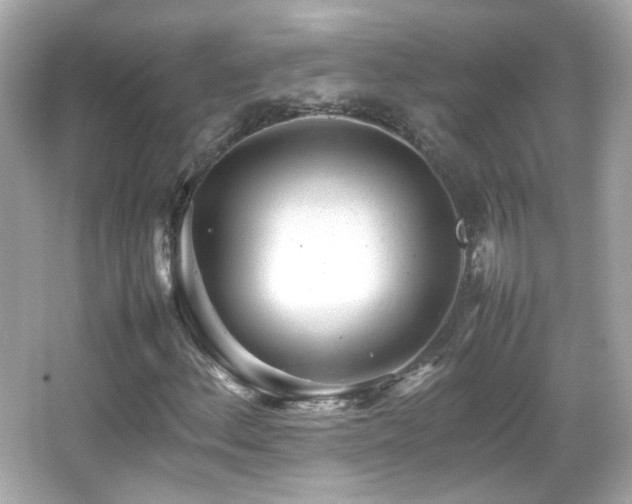 X0000066081156200603101133