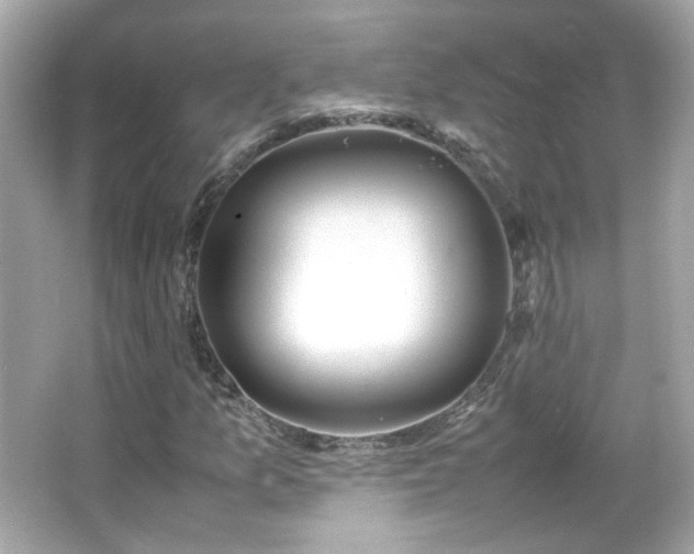 X0000066081157200603101133