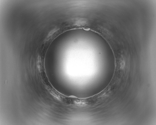 X0000066081158200603101133