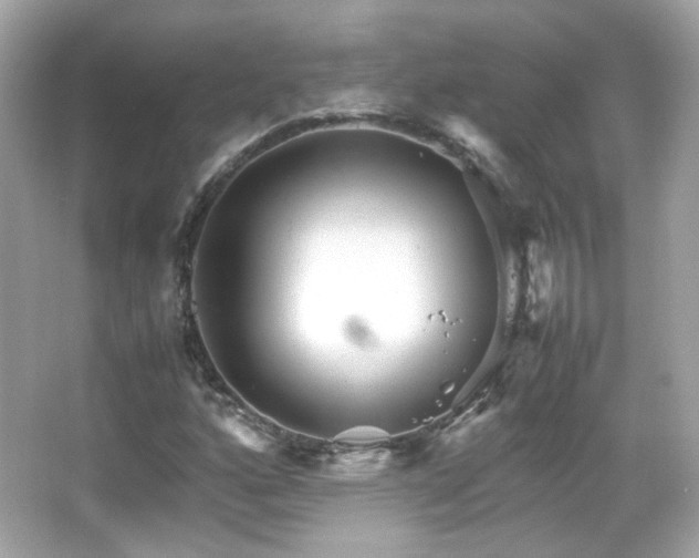 X0000066081160200603101133