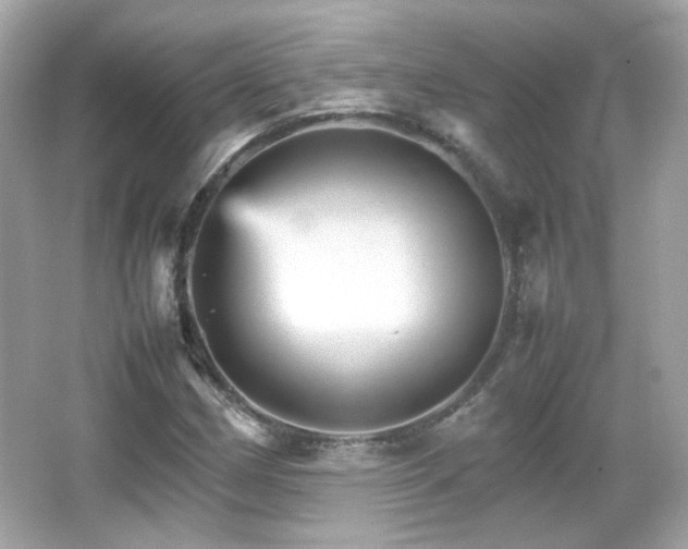 X0000066081162200603101133