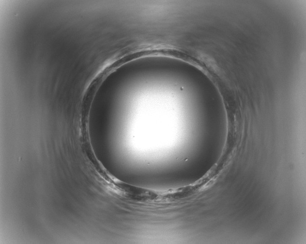 X0000066081165200603101132