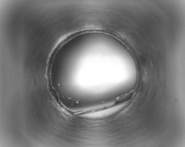X0000066081168200603101132