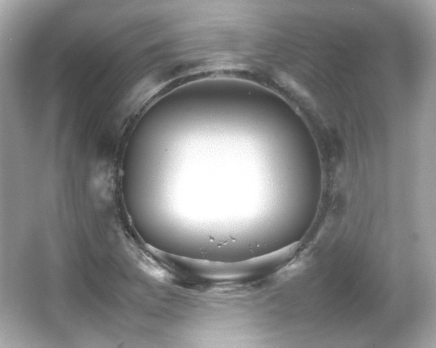 X0000066081169200603101132