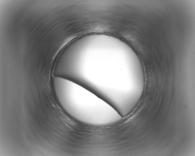 X0000066081170200603101132