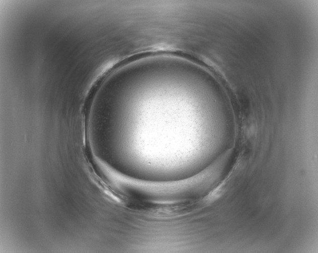 X0000066081171200603101132