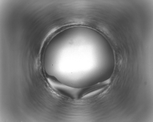 X0000066081172200603101132