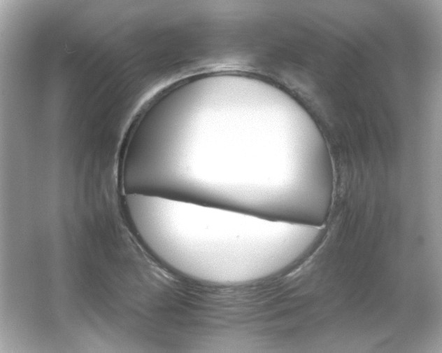 X0000066081174200603101132