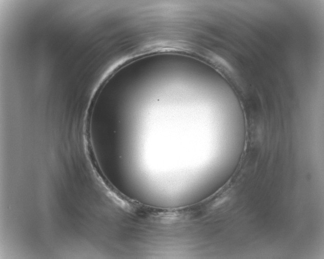 X0000066081182200603101132