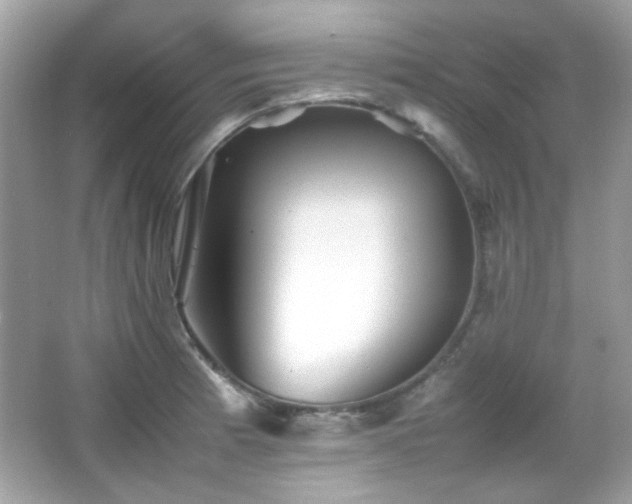 X0000066081185200603101132