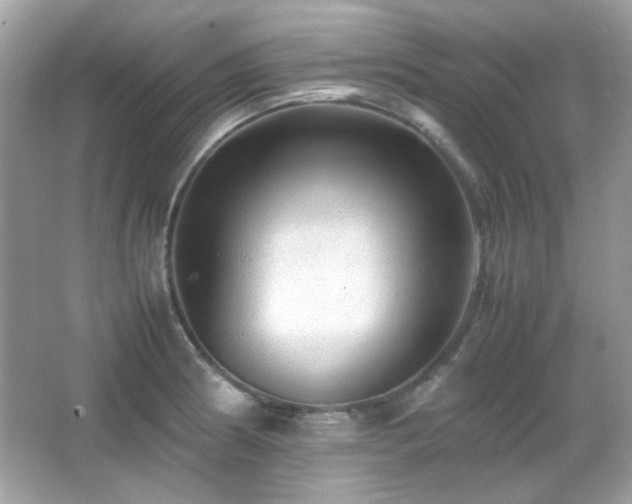 X0000066081186200603101132