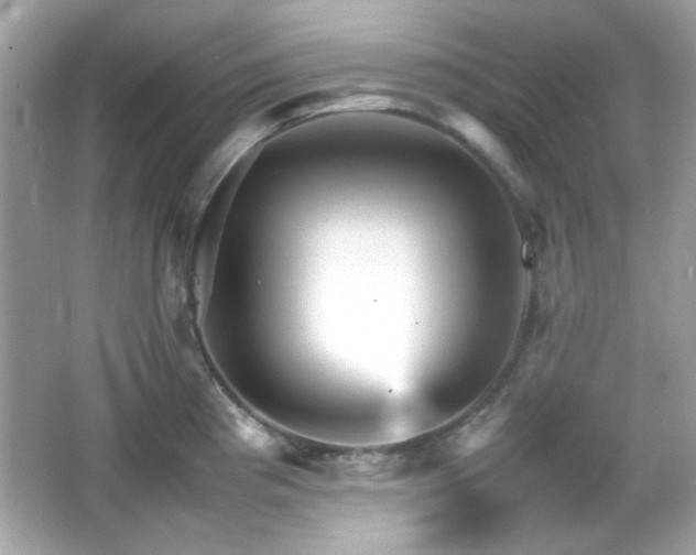 X0000066081193200603101132
