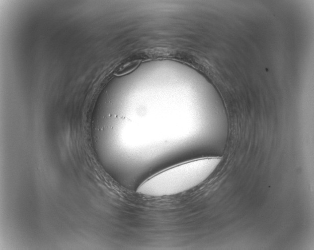 X0000066081201200603101131