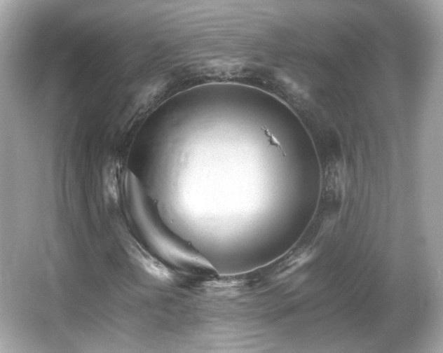 X0000066081202200603101131