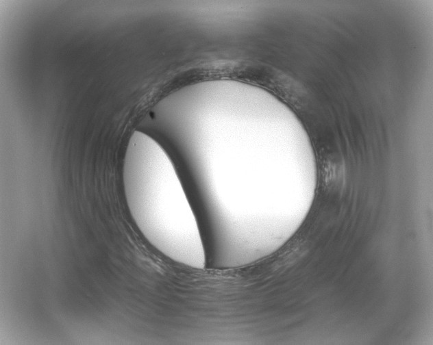 X0000066081204200603101131