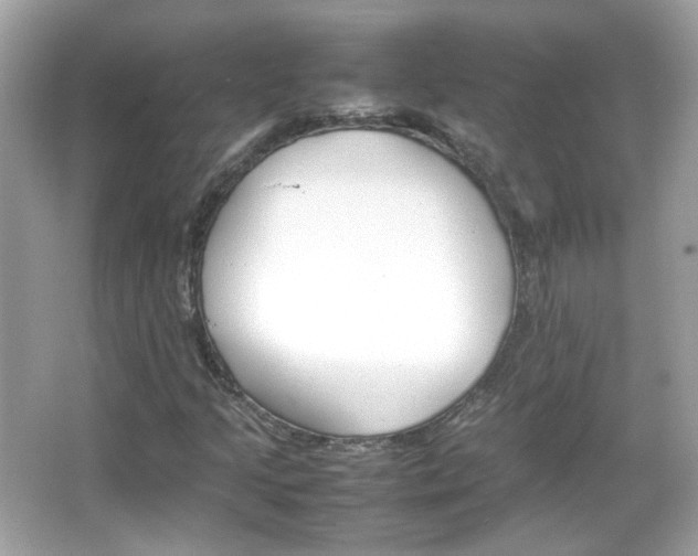 X0000066081205200603101131