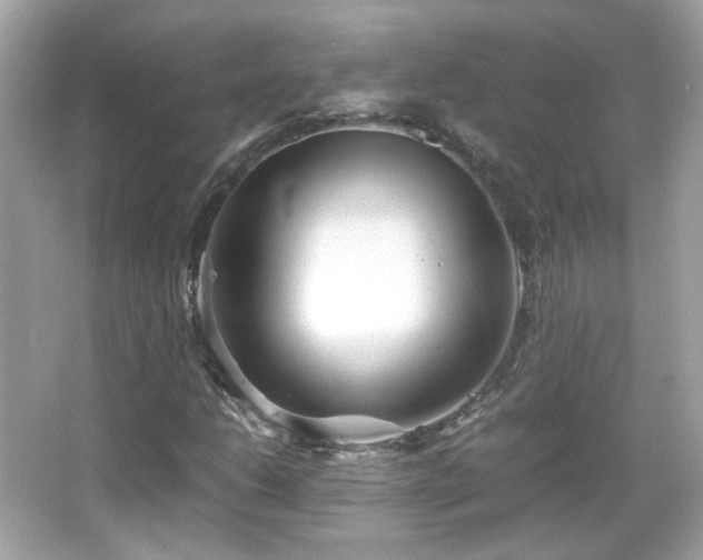 X0000066081206200603101131