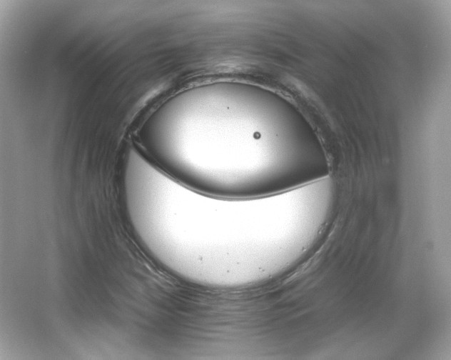 X0000066081210200603101131