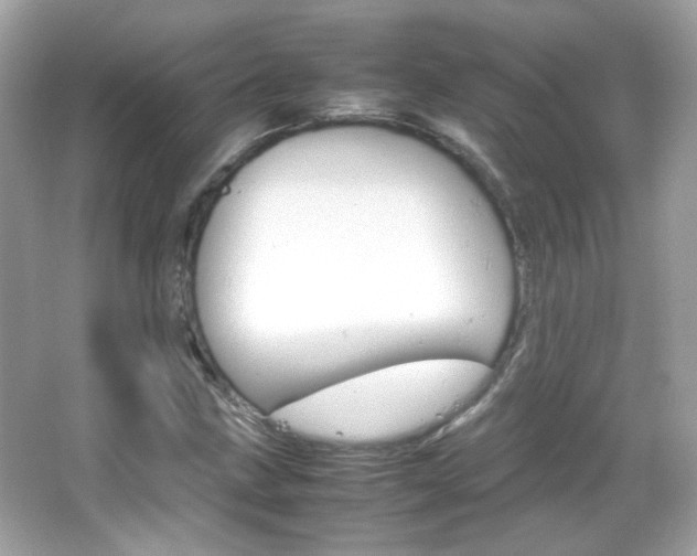 X0000066081211200603101131