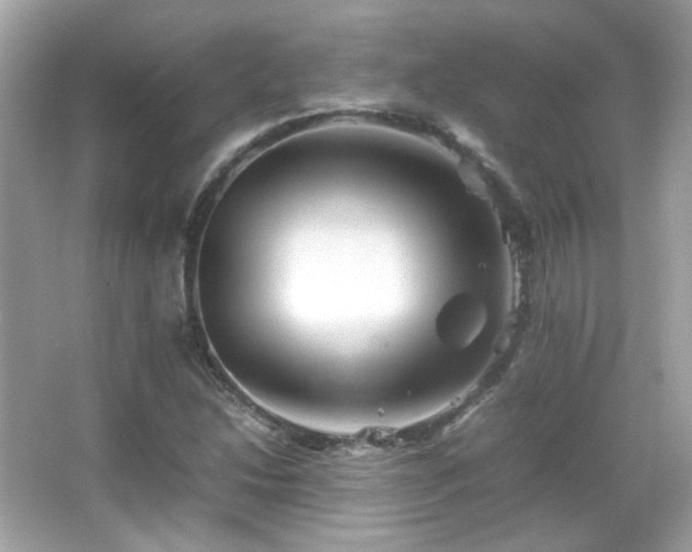 X0000066081214200603101131