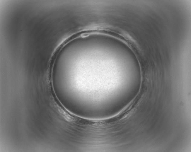 X0000066081216200603101131