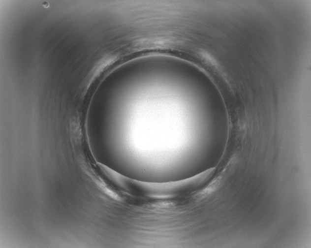 X0000066081218200603101131