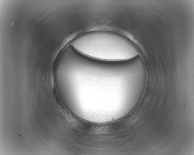 X0000066081221200603101131