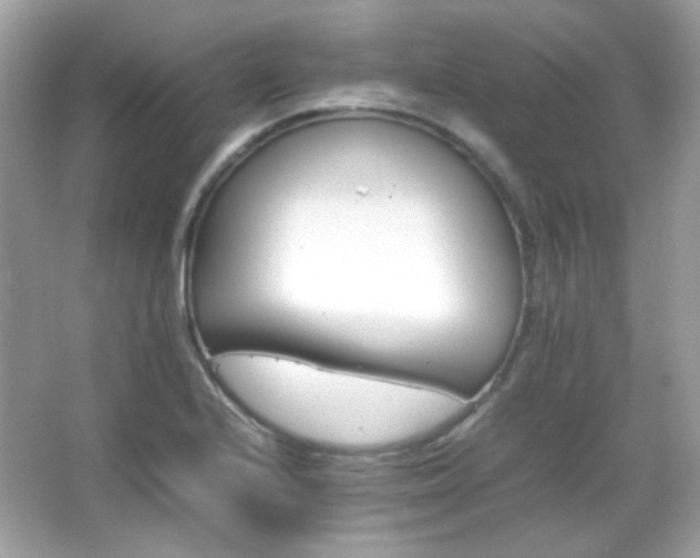 X0000066081224200603101131