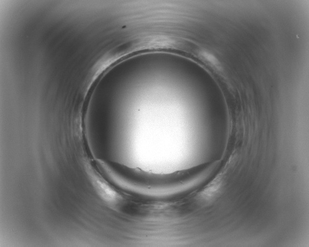 X0000066081226200603101132