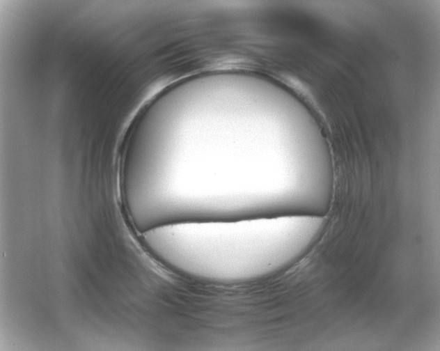 X0000066081227200603101132