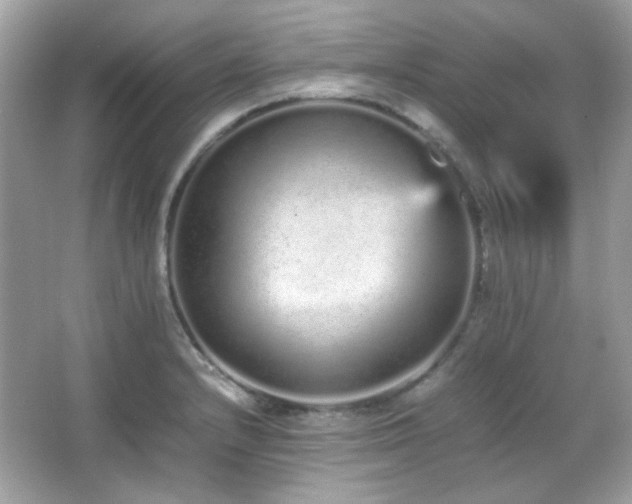 X0000066081232200603101132