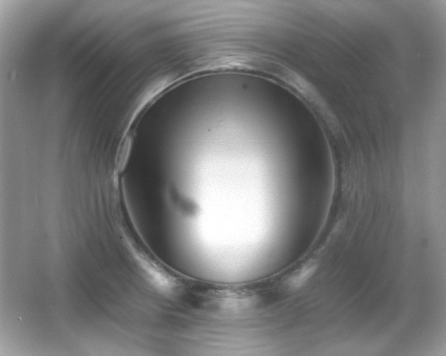 X0000066081234200603101132