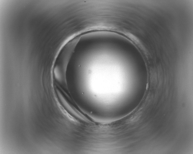X0000066081238200603101132