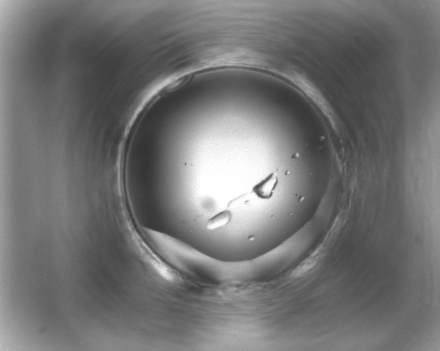 X0000066081246200603101132